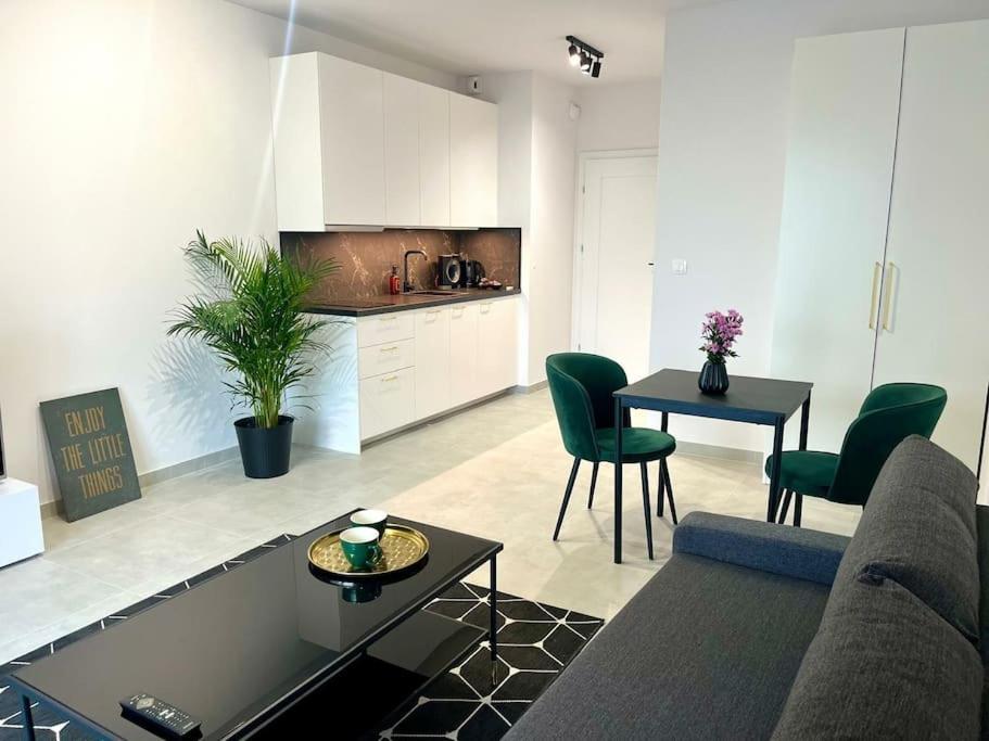 New 69 Apartment Szybowcowa Centre Katowice Free Parking Экстерьер фото